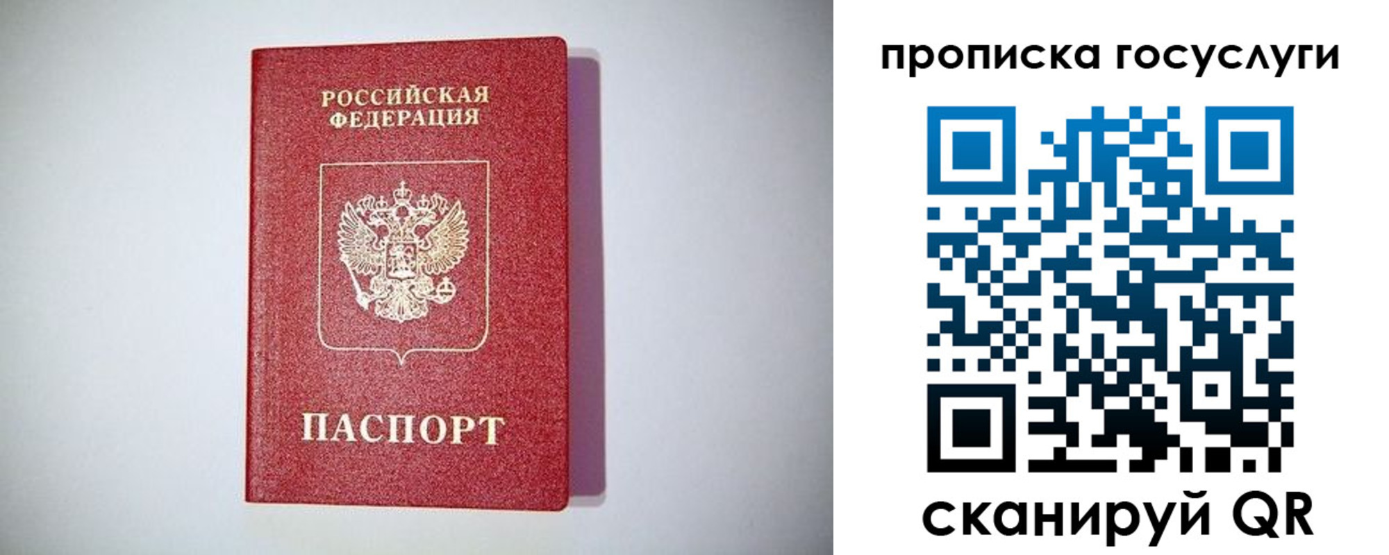 временная регистрация госуслуги в Мурманской области